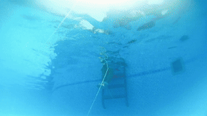 knotrightties.com - Opal's Underwater Challenge: Part 2 thumbnail